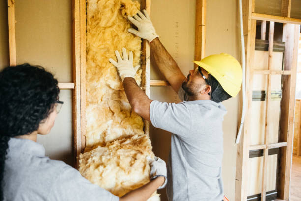 Professional Insulation Services in North Hornell, NY